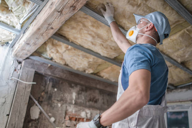 Best Insulation for Specific Applications in Hillcrest Heights, MD