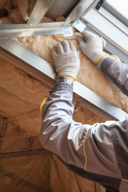 Best Insulation Maintenance and Repair in Hillcrest Heights, MD
