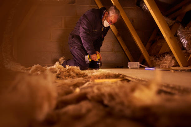 Types of Insulation We Offer in Hillcrest Heights, MD
